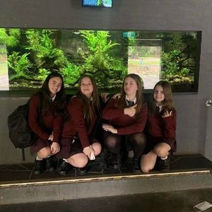 Meet your Posher, Summer